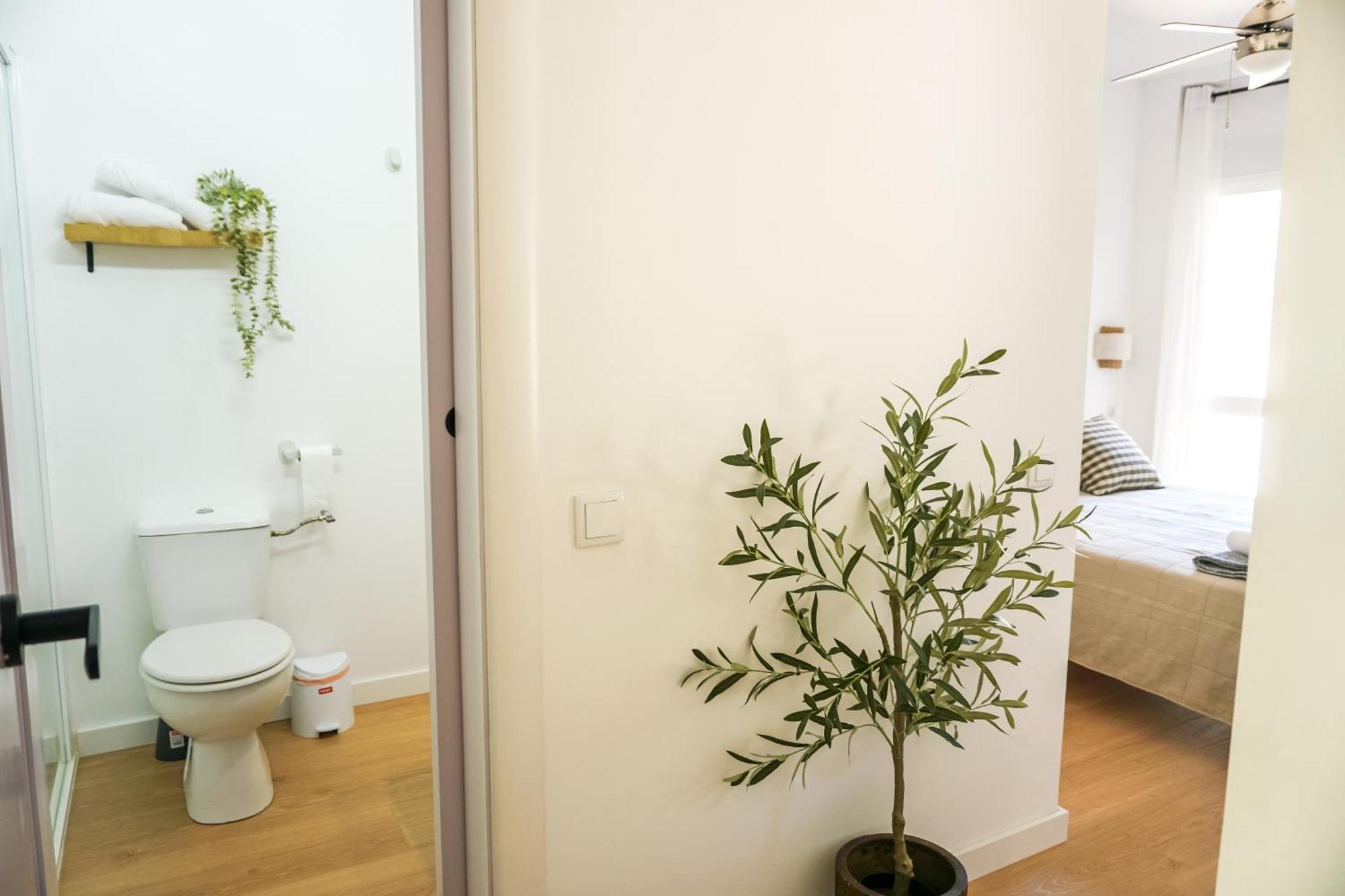 Apartamento El Olivo Alicante Eksteriør bilde